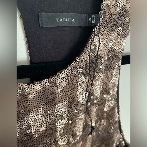 Talula Canterbury Sequin Dress from Aritzia Size XS - Picture 11 of 11
